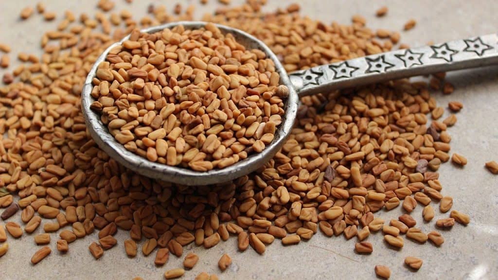 Fenugreek: effect and higher testosterone levels?